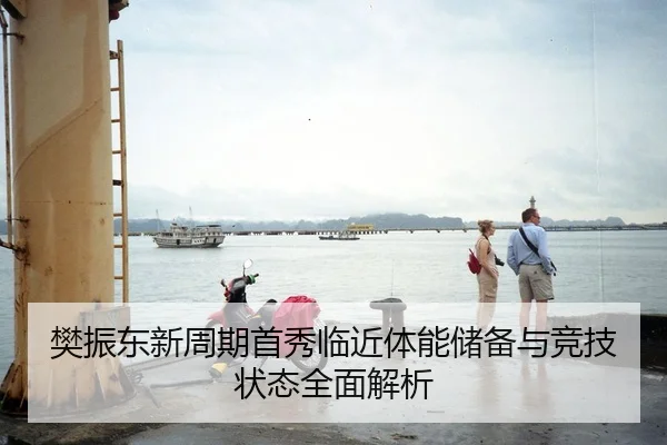 樊振东新周期首秀临近体能储备与竞技状态全面解析